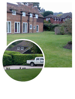 Lawns and hedge care
